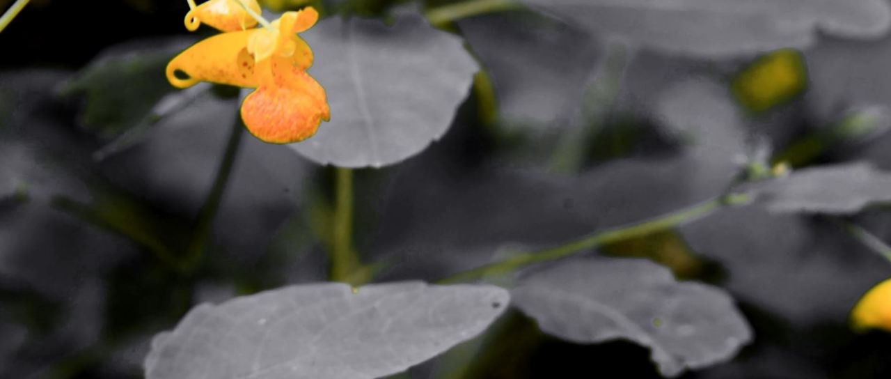 Ursprung_FilmScreenshot_FilmFreeway